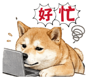 853550987