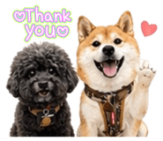 853550997