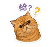853551844