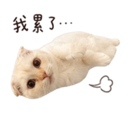 853552196