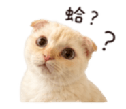 853552205