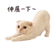 853552213