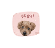 853552463