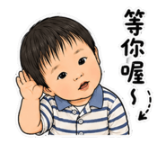853553006