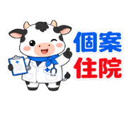 853553308