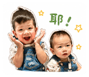 853553402