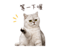 853554273