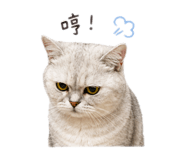 853554286