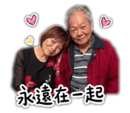 853554446