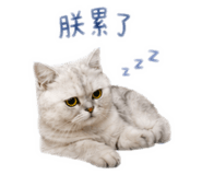 853554453