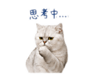 853554455