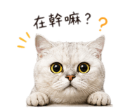 853554471