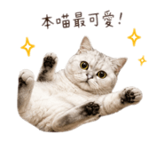 853554472