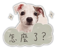 853554551