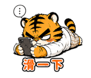 853554620