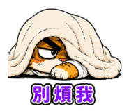 853554621