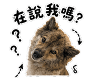 853554649