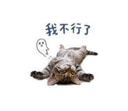 853555131