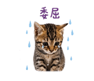 853555134