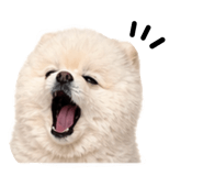 853555353