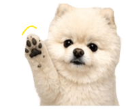 853555354