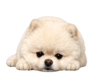 853555355
