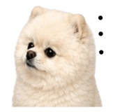 853555358