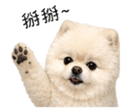 853555361