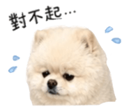 853555366