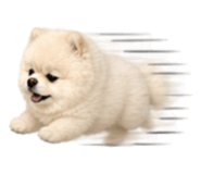 853555367