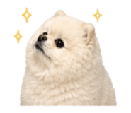 853555368