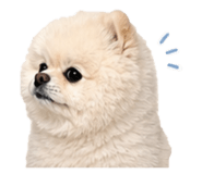 853555378