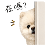 853555379