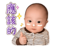 853556004