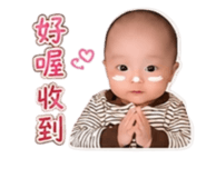 853556010