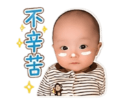 853556020