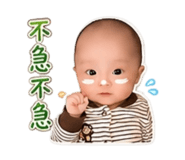 853556024