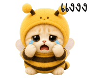 853556184
