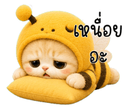 853556202