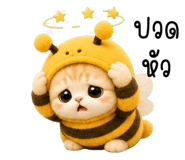 853556203