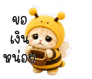 853556206