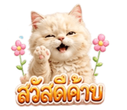 853556421