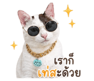 853557372