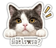 853557837