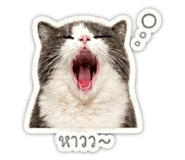 853557848