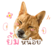 853558164