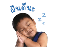 853558218