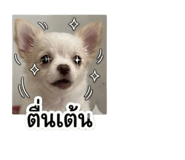 853559713