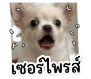 853559719