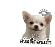 853559720